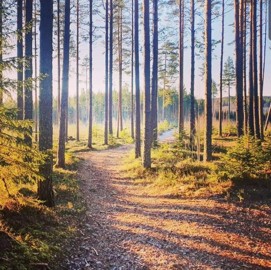 Mysig Timmerstuga Med Braskamin Naera Hovfjaellet Torsby Exterior foto